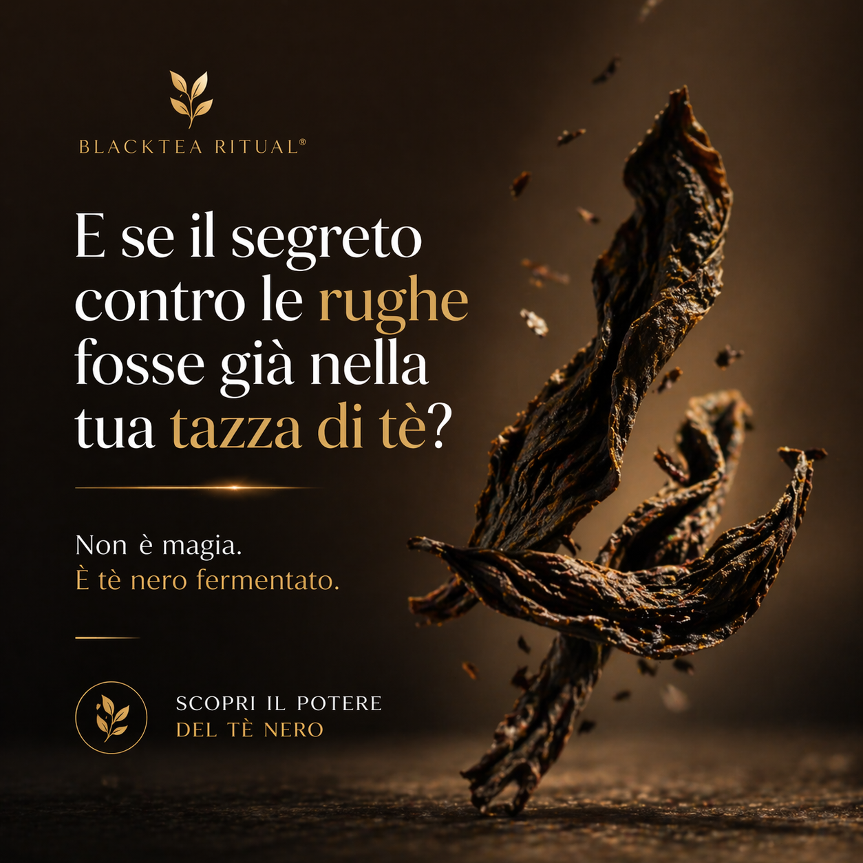 BlackTea Ritual® | Il trattamento viso che rigenera la pelle